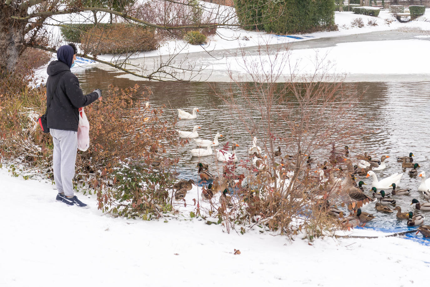 Fotos: La nieve ha dejado una jornada de diversión en Palencia