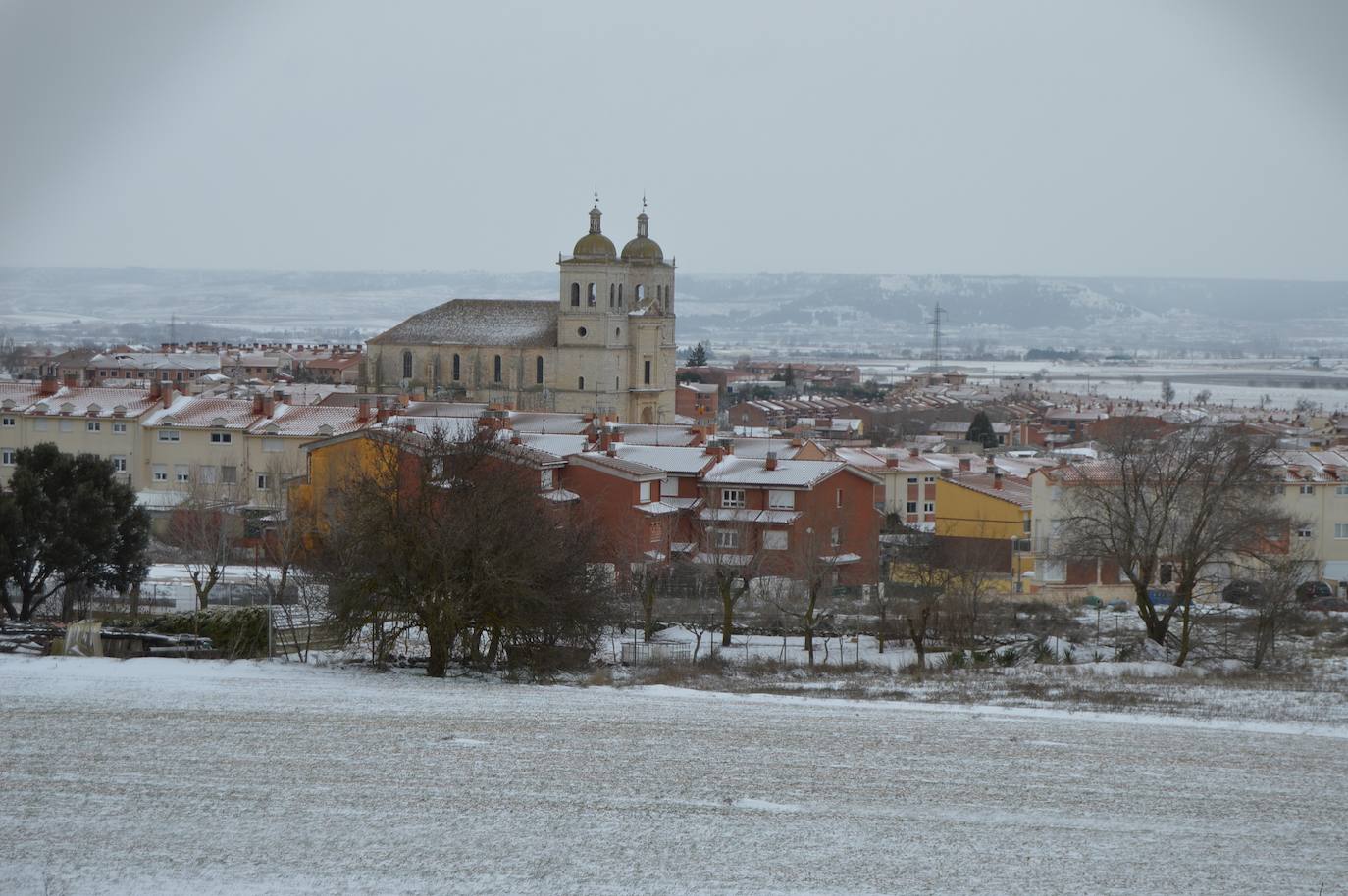 Cigales.