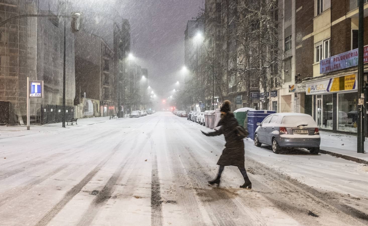 Fotos: Los vallisoletanos disfrutan de un día de nieve en la ciudad