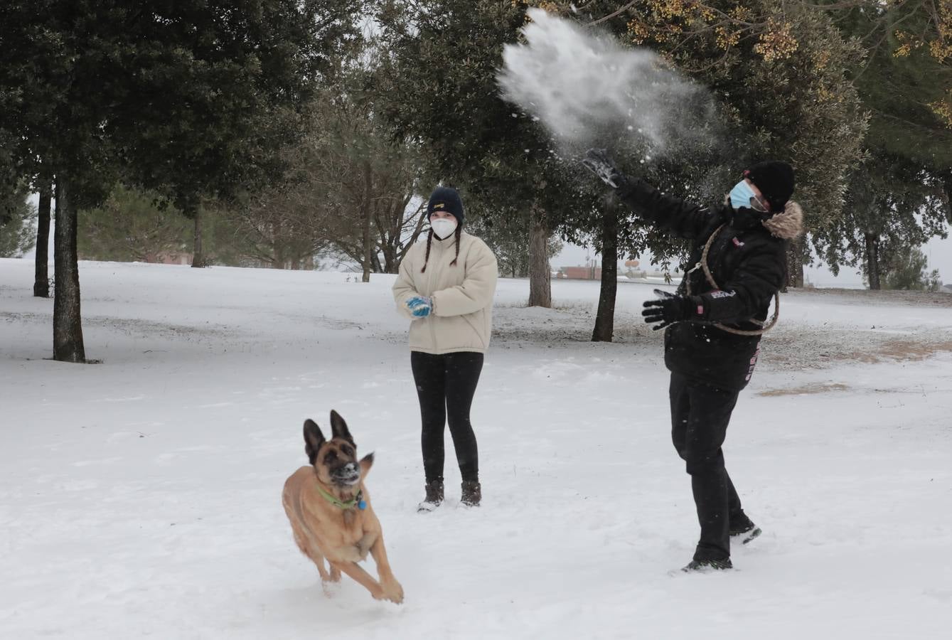 Fotos: Los vallisoletanos disfrutan de un día de nieve en la ciudad