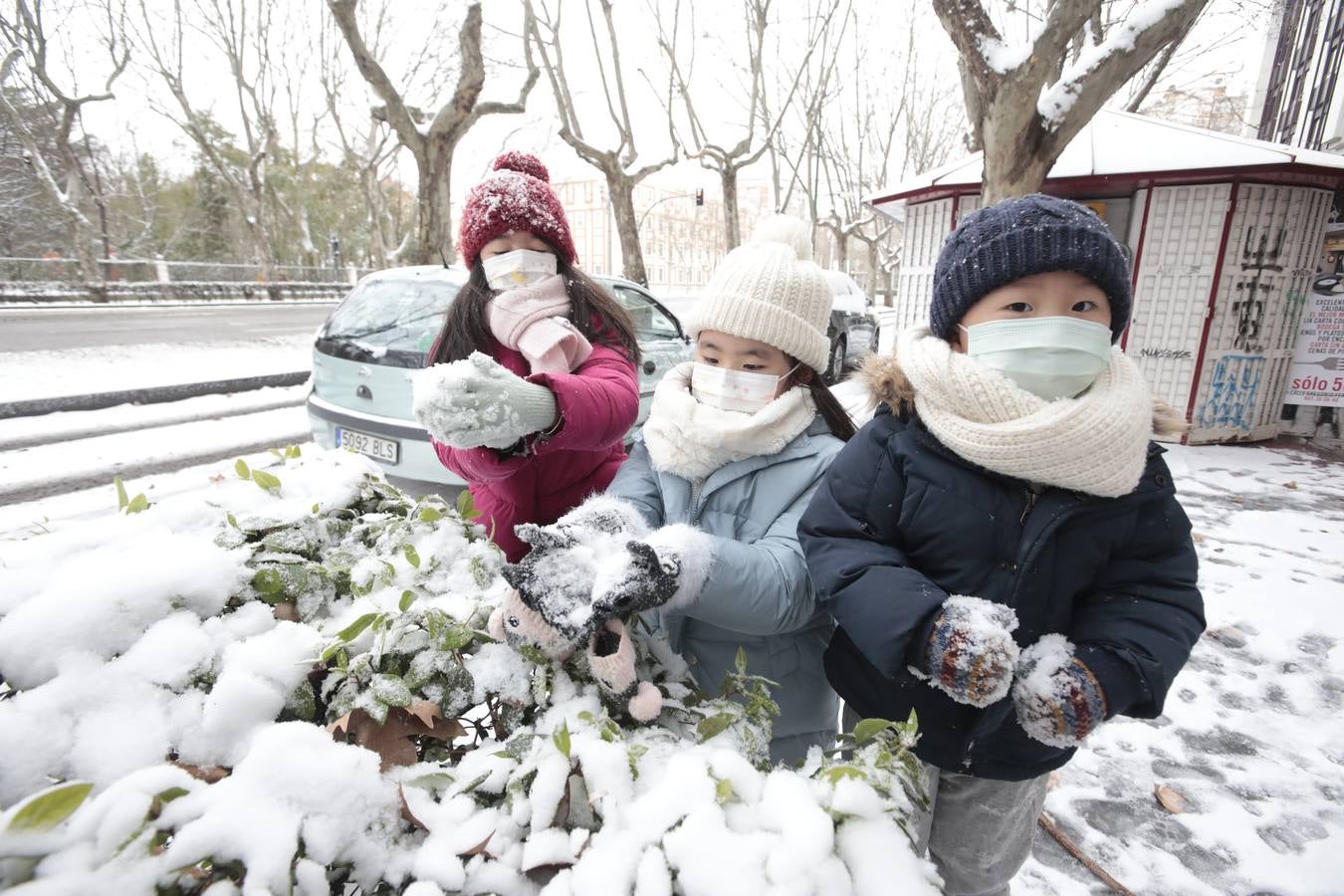 Fotos: Los vallisoletanos disfrutan de un día de nieve en la ciudad