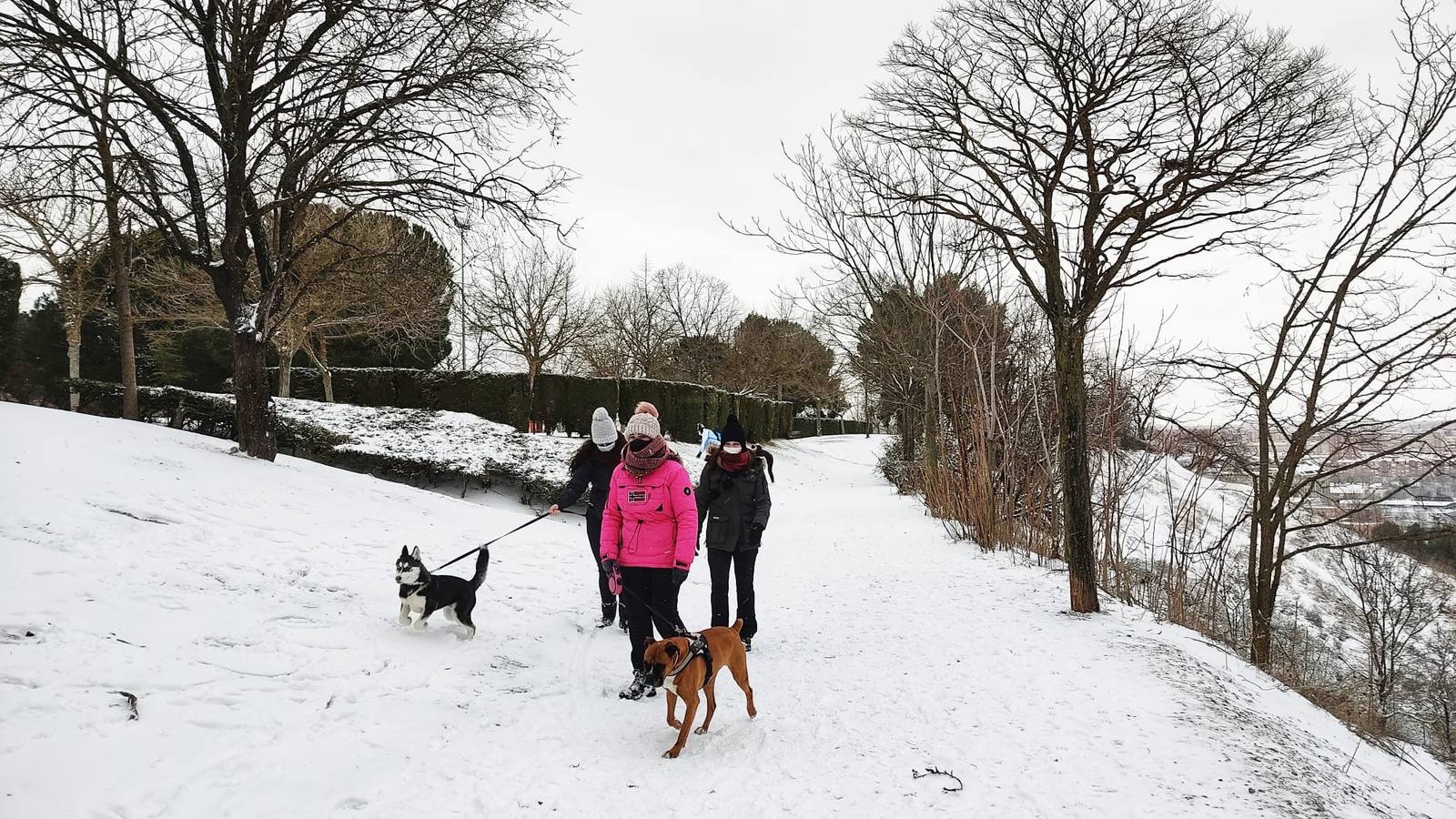 Fotos: Los vallisoletanos disfrutan de un día de nieve en la ciudad