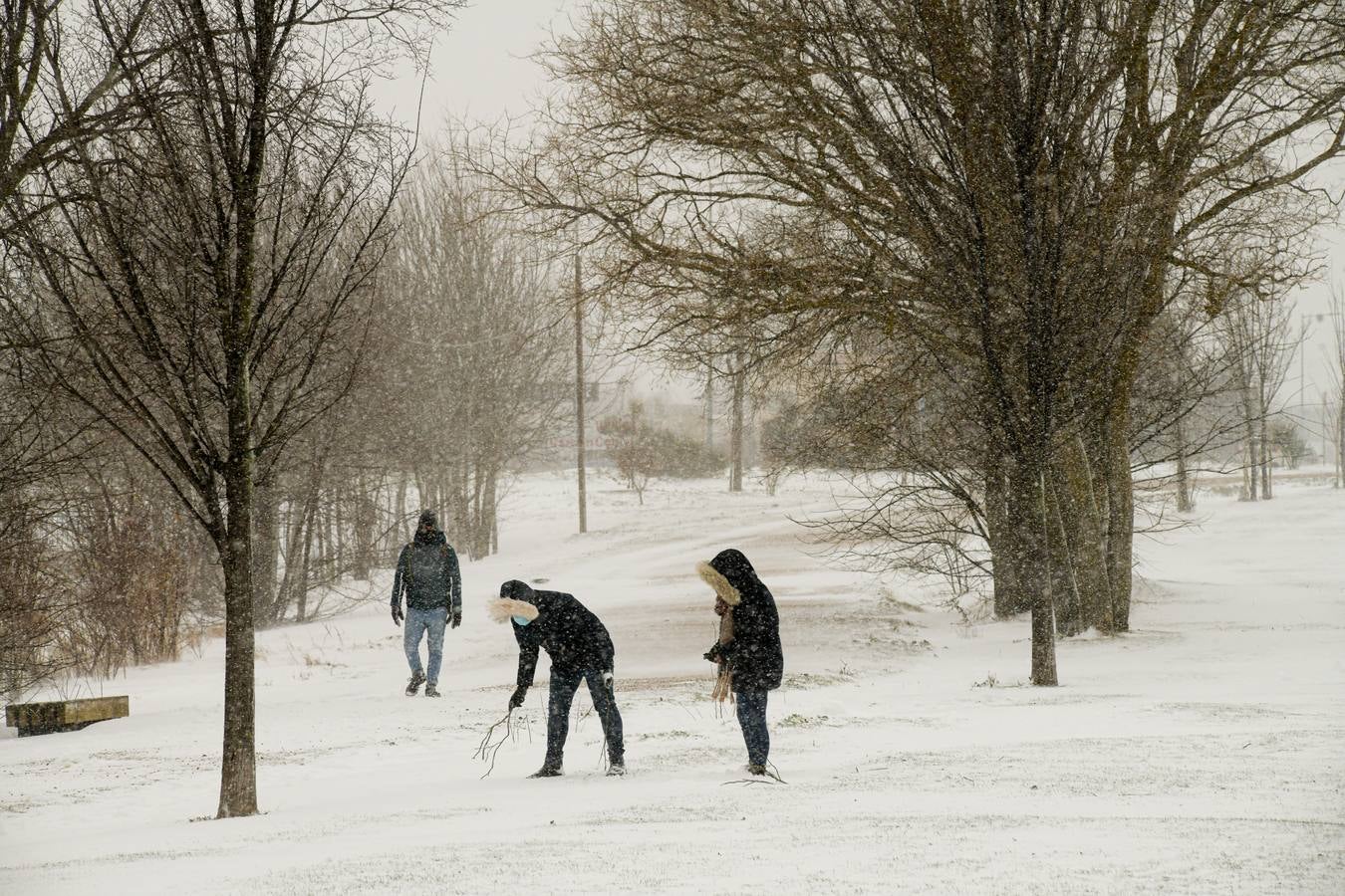 Fotos: Los vallisoletanos disfrutan de un día de nieve en la ciudad