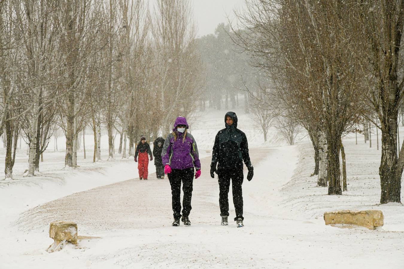 Fotos: Los vallisoletanos disfrutan de un día de nieve en la ciudad