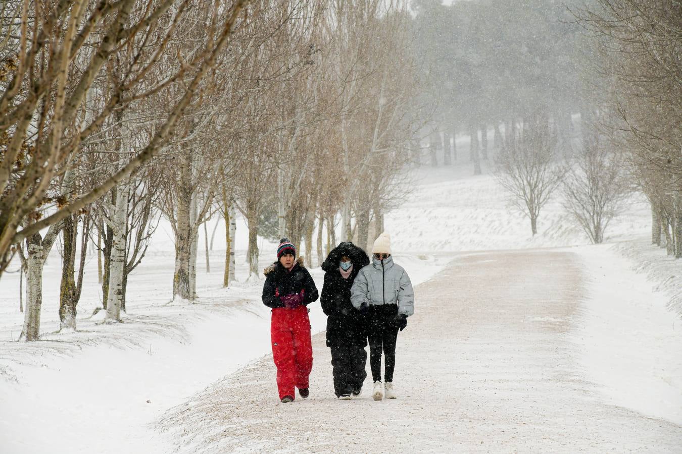 Fotos: Los vallisoletanos disfrutan de un día de nieve en la ciudad