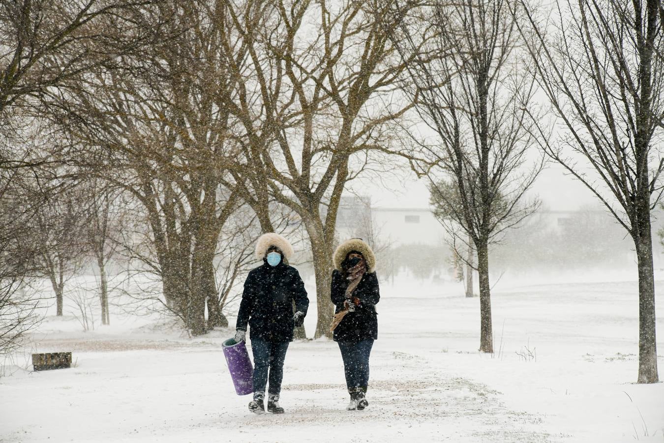 Fotos: Los vallisoletanos disfrutan de un día de nieve en la ciudad