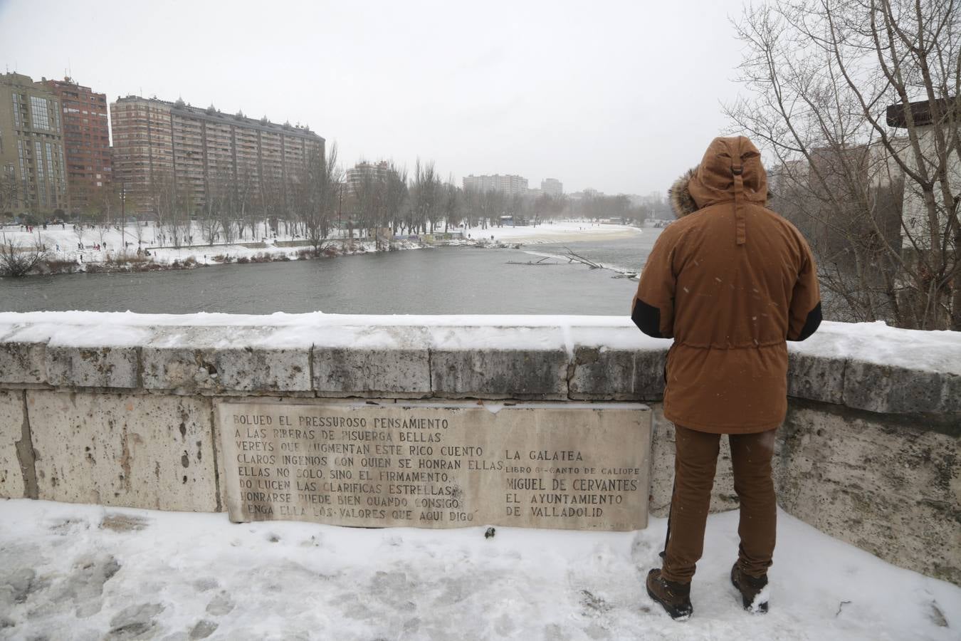 Fotos: Los vallisoletanos disfrutan de un día de nieve en la ciudad