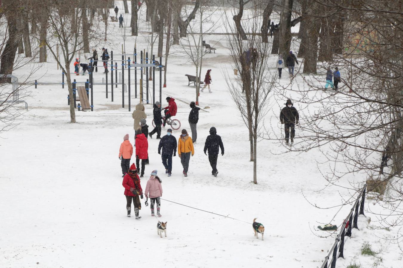 Fotos: Los vallisoletanos disfrutan de un día de nieve en la ciudad