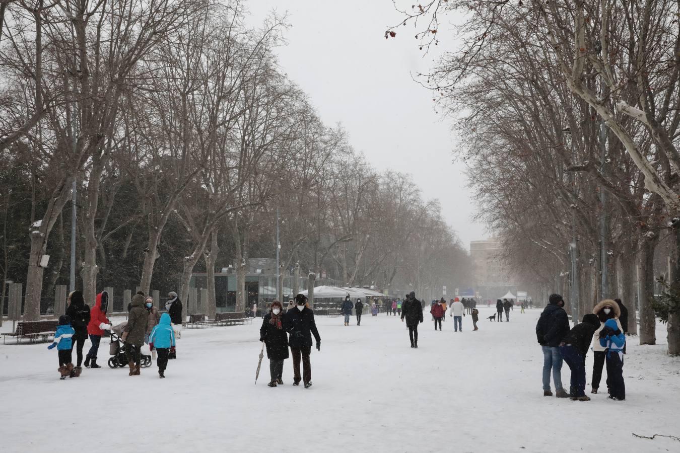 Fotos: Los vallisoletanos disfrutan de un día de nieve en la ciudad