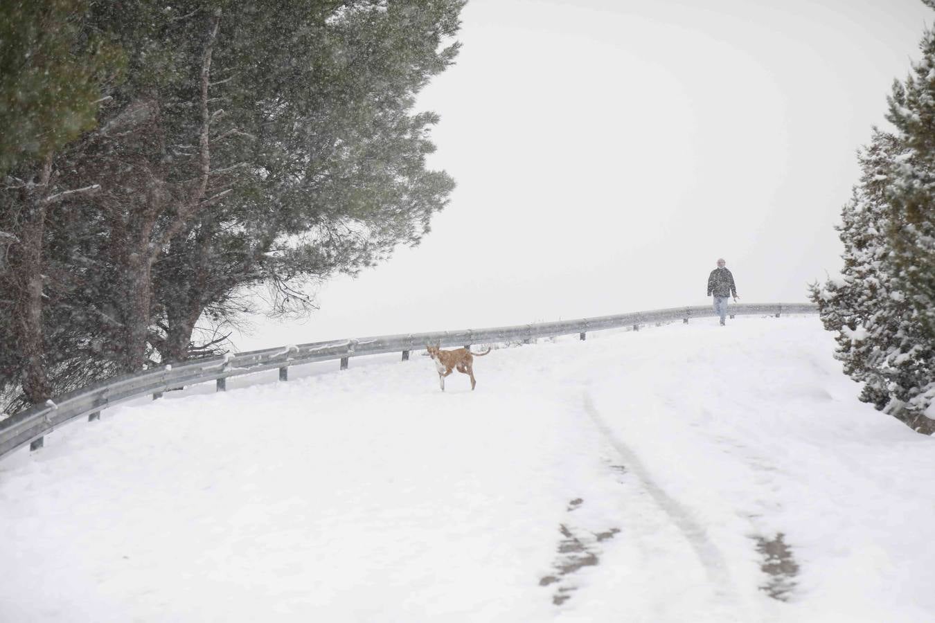 Fotos: Nevada en Peñafiel