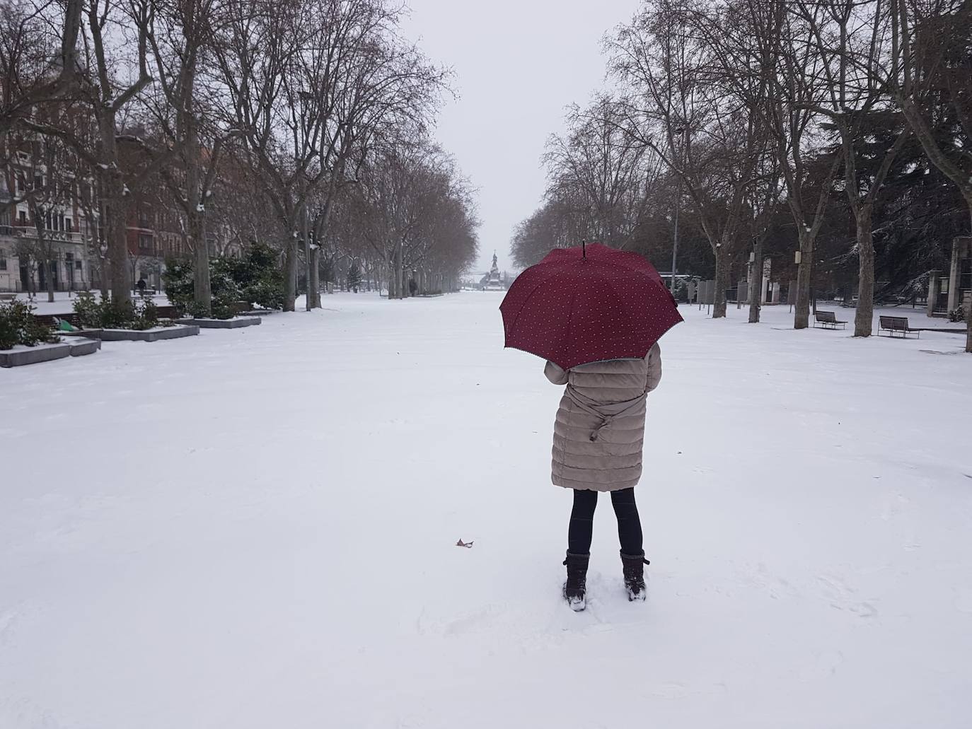 Fotos: Valladolid amanece teñida de blanco