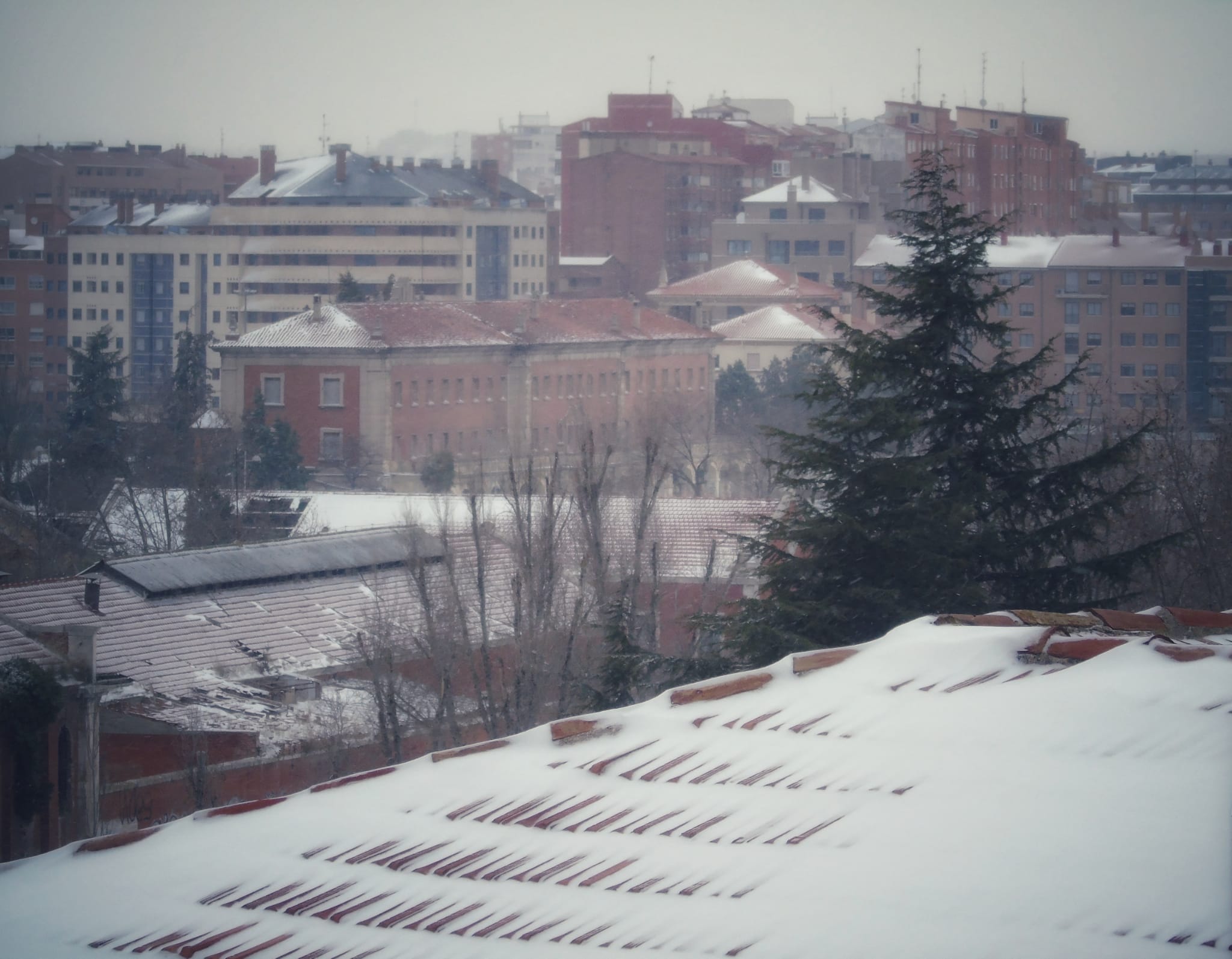 Fotos: Las imágenes del temporal &#039;Filomena&#039; enviadas por los lectores de El Norte de Castilla (1/3)