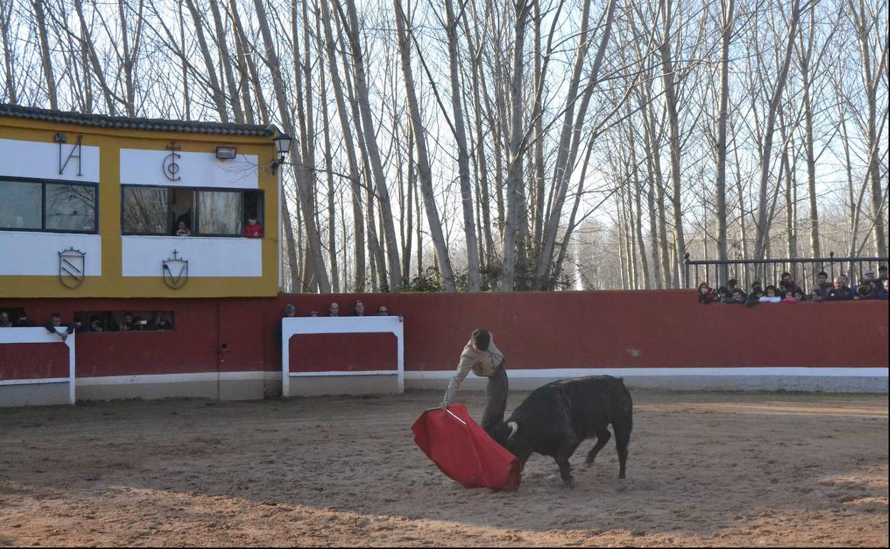 Momento de una tienta del Bolsín celebrada en el Conde Rodrigo