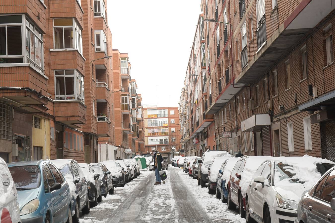 Fotos: El hielo, protagonista de este domingo en Valladolid