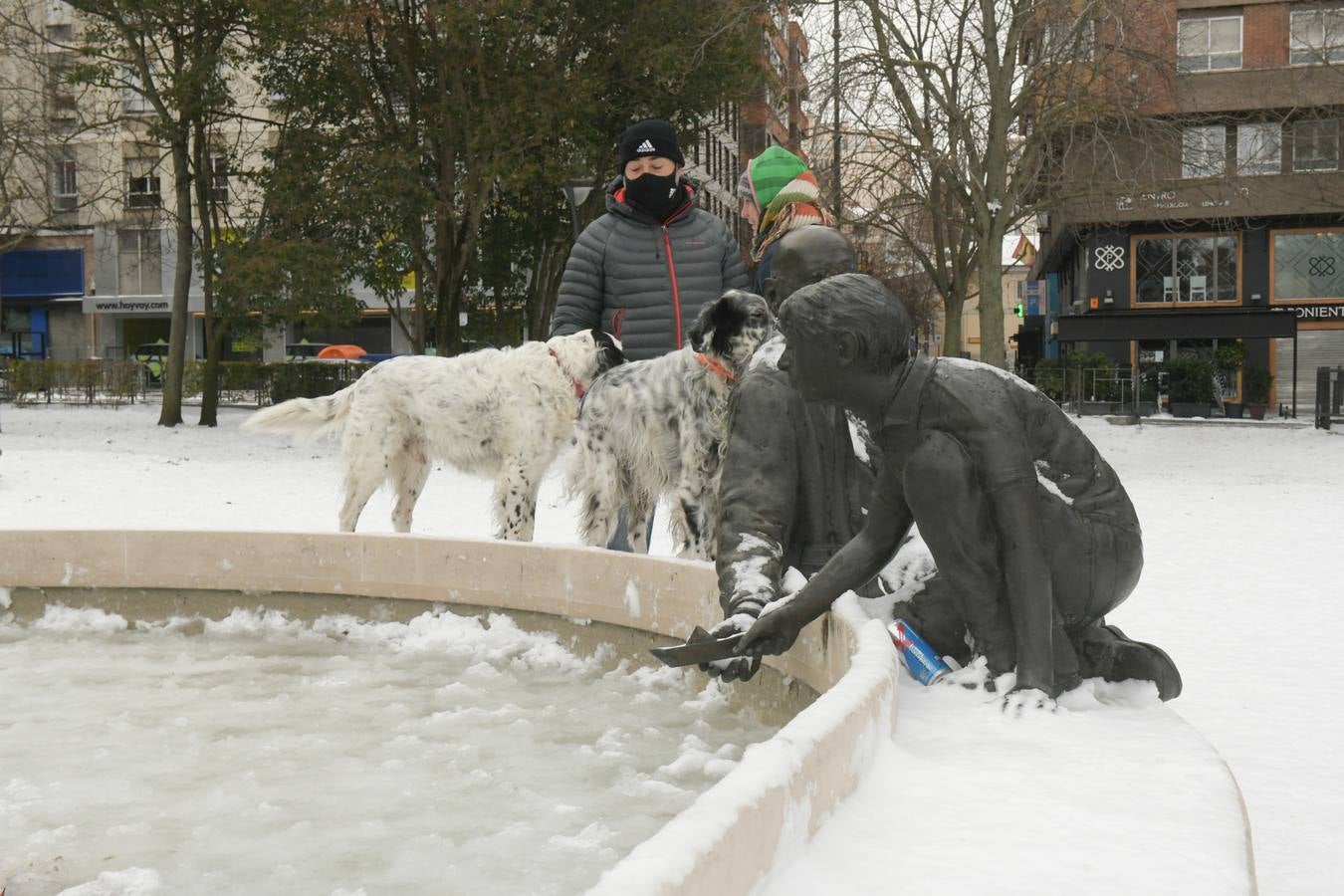 Fotos: El hielo, protagonista de este domingo en Valladolid