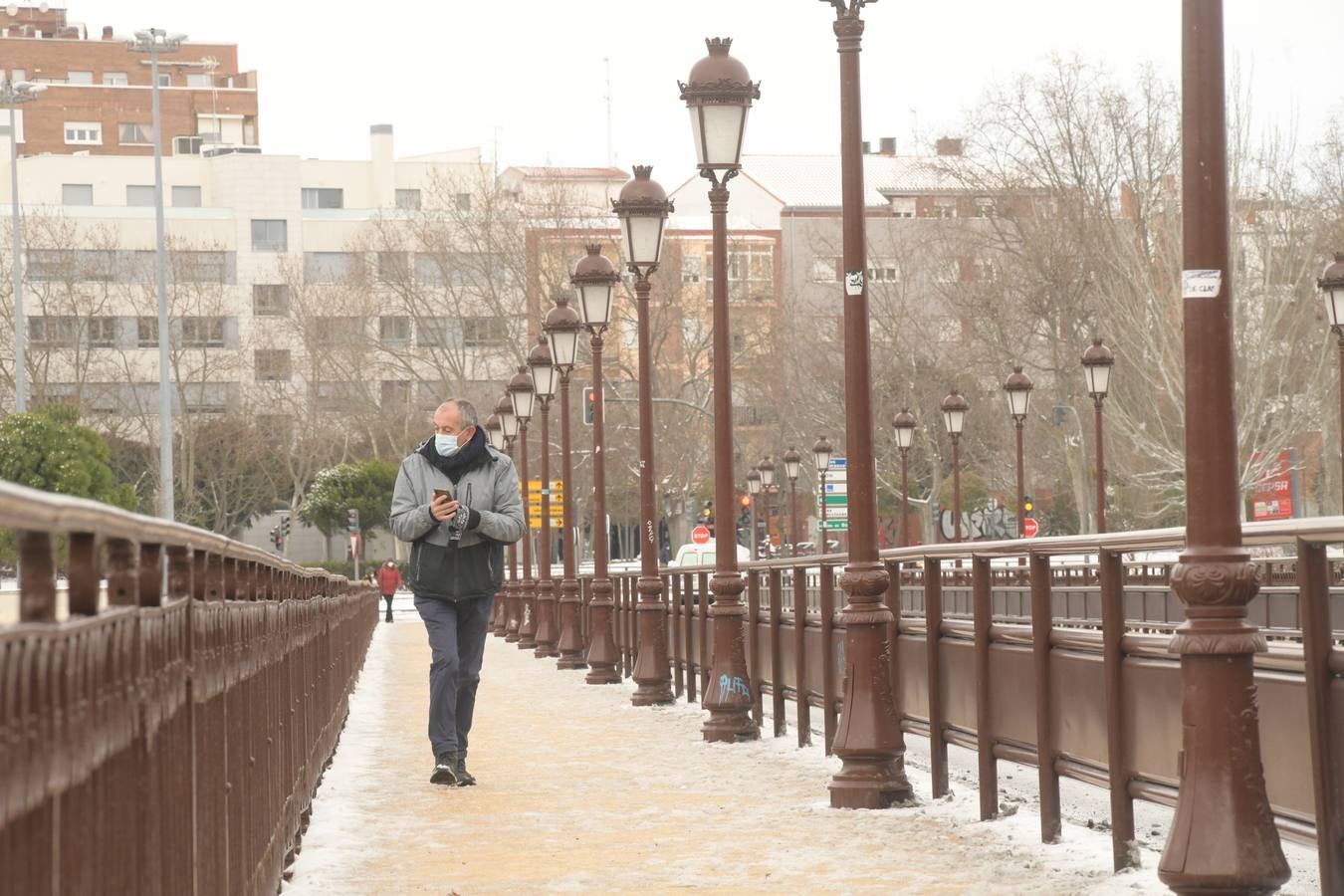 Fotos: El hielo, protagonista de este domingo en Valladolid