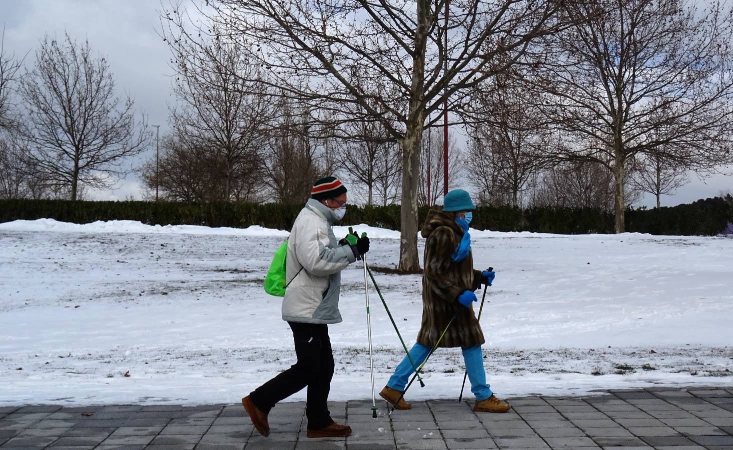 Fotos: El hielo, protagonista de este domingo en Valladolid