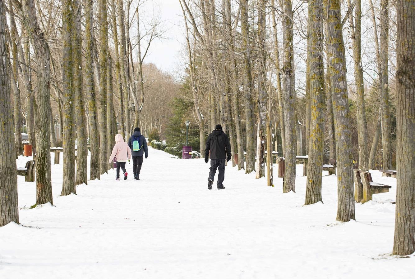 Fotos: El hielo, protagonista de este domingo en Valladolid