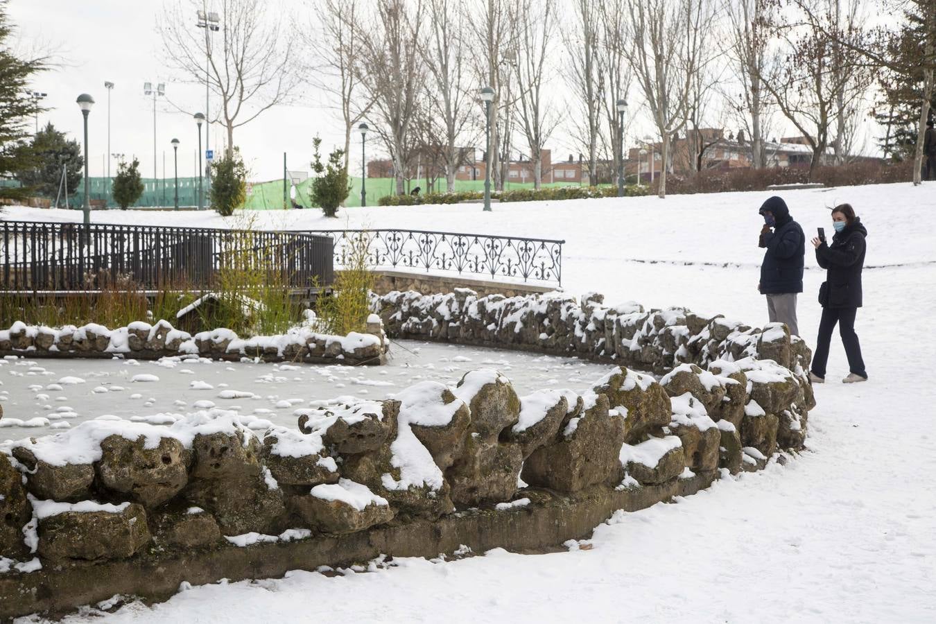 Fotos: El hielo, protagonista de este domingo en Valladolid