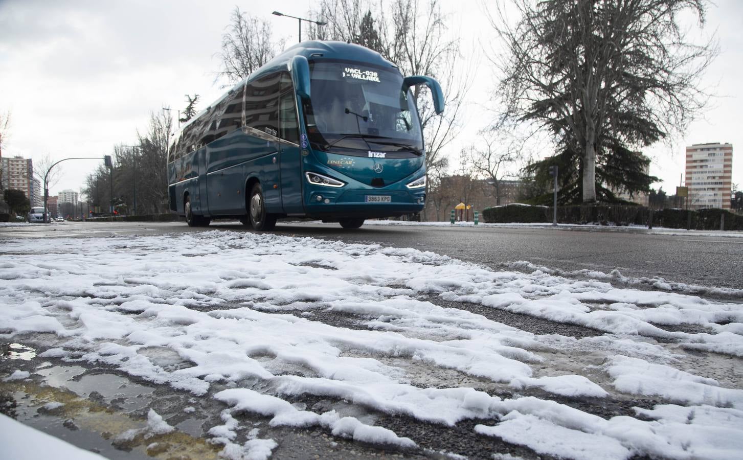 Fotos: El hielo, protagonista de este domingo en Valladolid