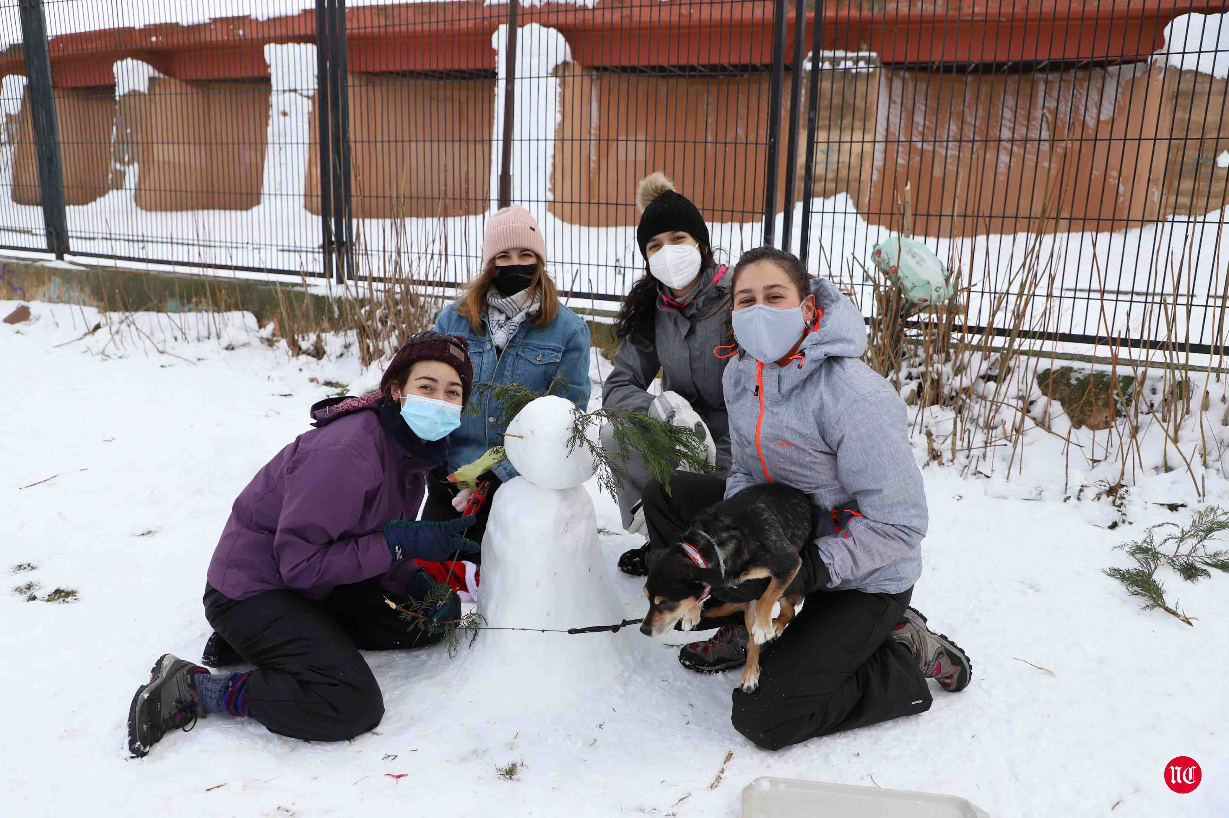 Fotos: Salamanca intenta recuperarse de Filomena con el frío y el hielo como protagonistas