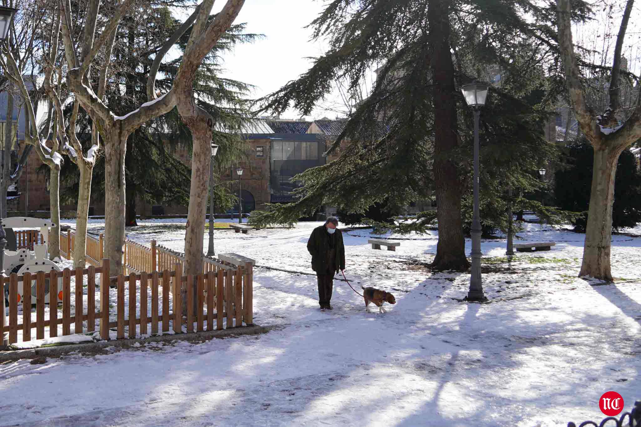 Fotos: Salamanca se intenta recuperar de Filomena