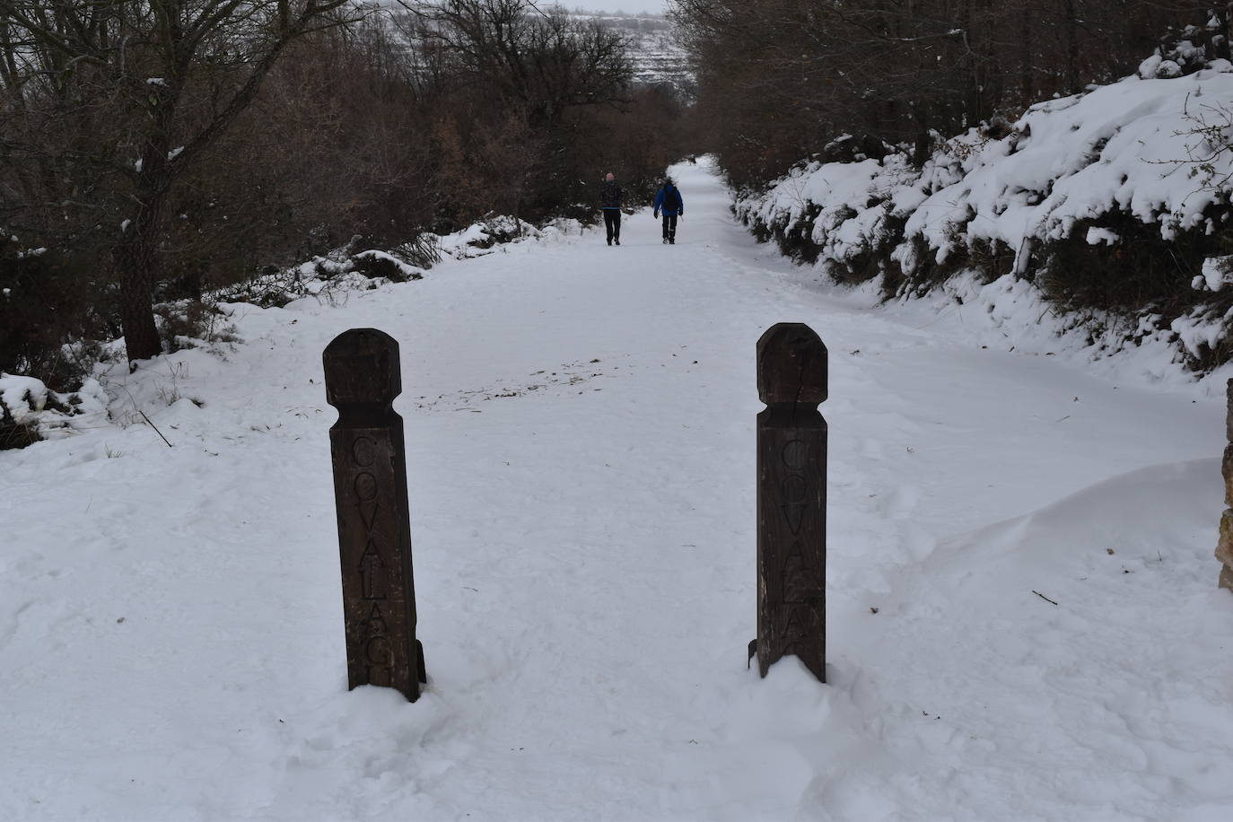 Fotos: El hielo se apodera de la cascada de Covalagua