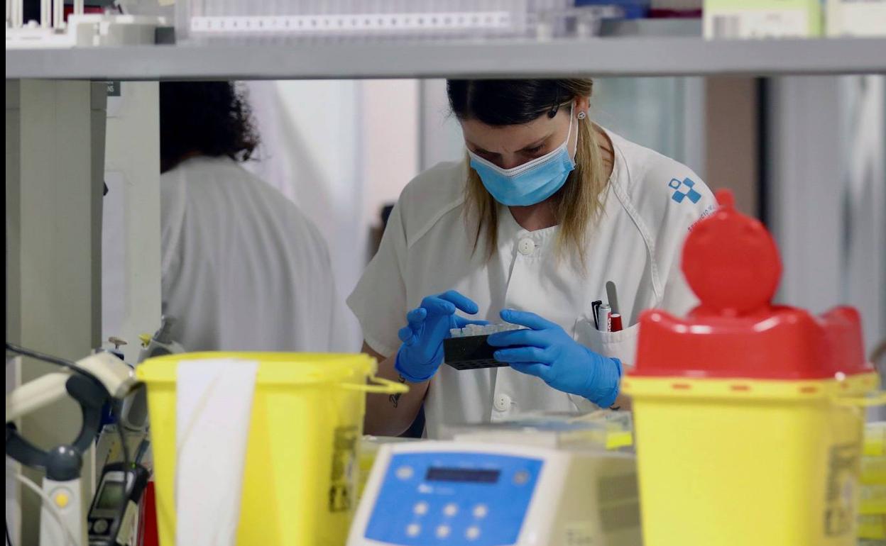 Técnicos sanitarios de un hospital trabajan en el interior de la cabina de seguridad del laboratorio de virología .