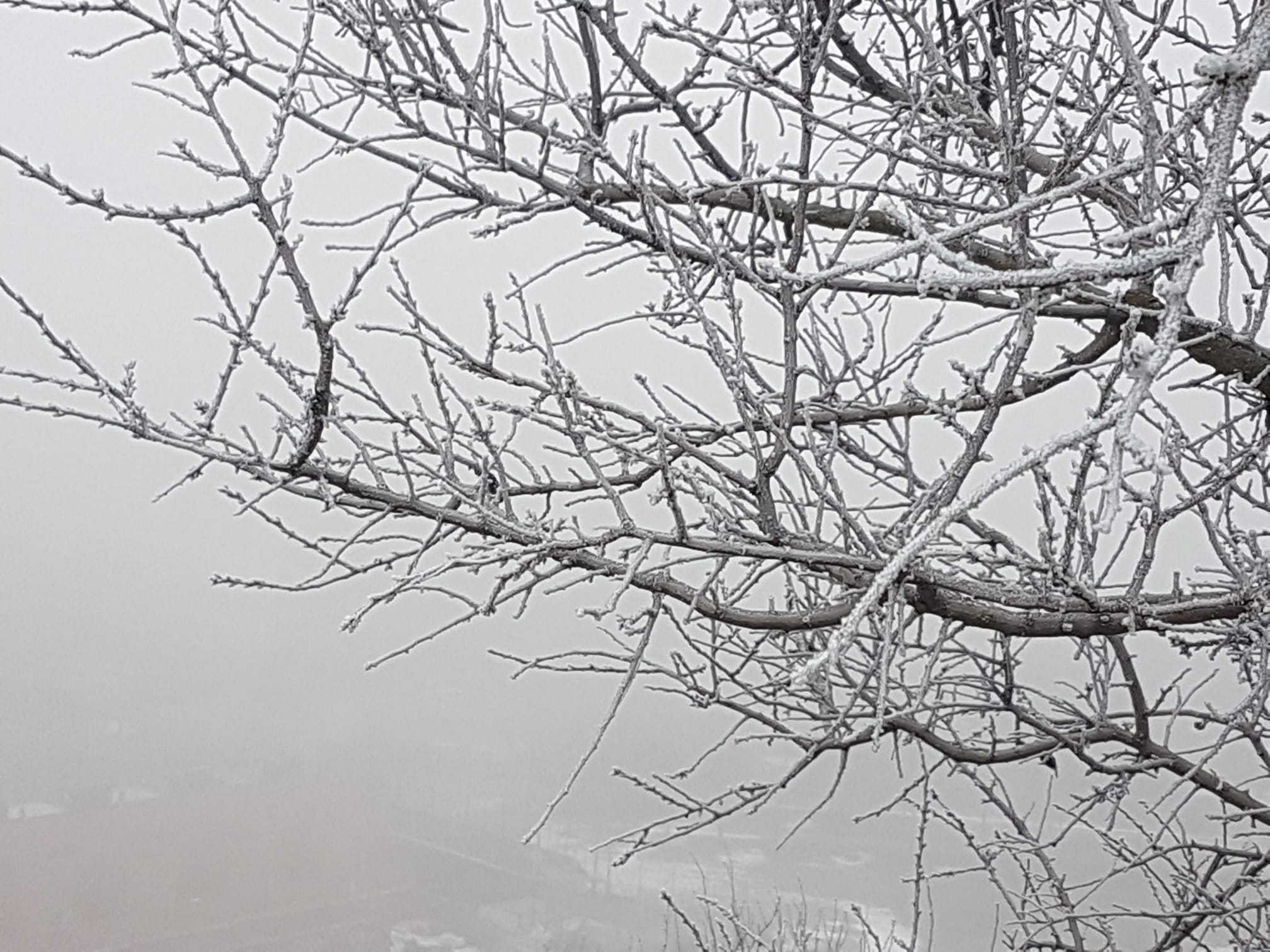 Fotos: Valladolid amanece cubierta de niebla