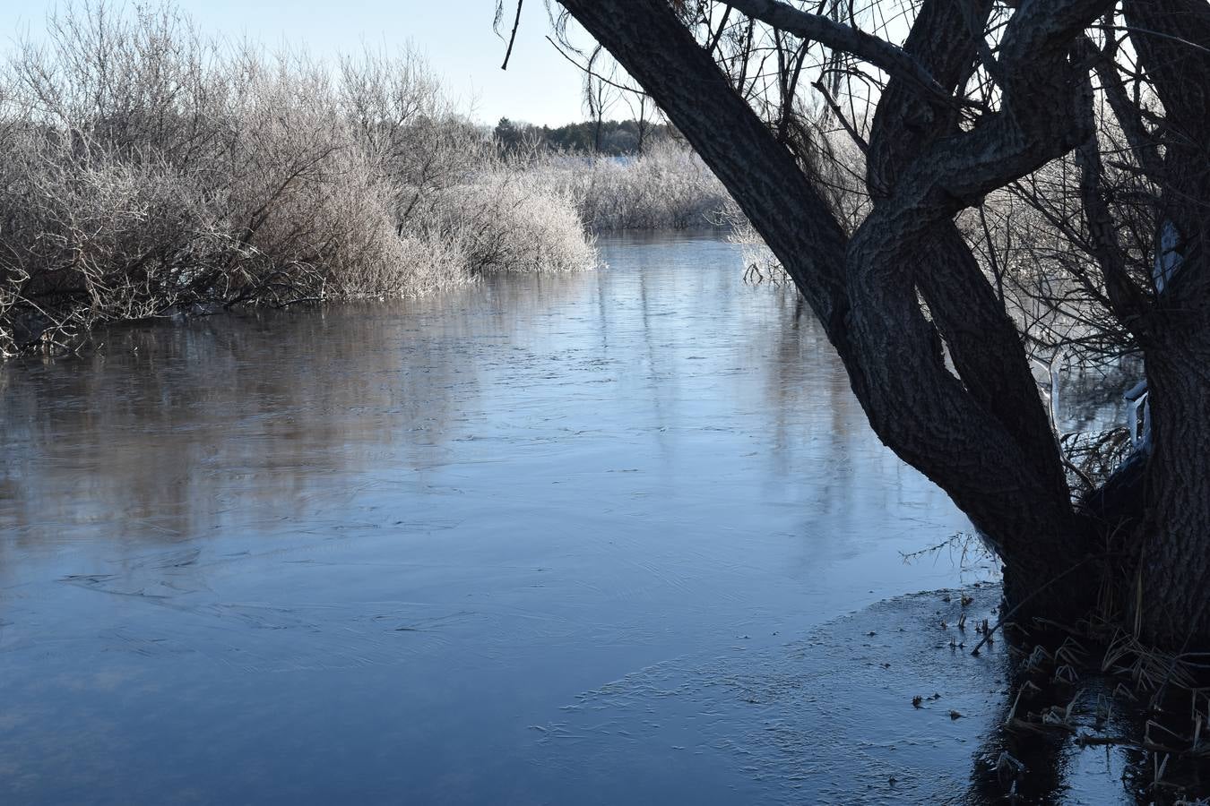 Fotos: El embalse de Aguilar de Campoo amanece congelado