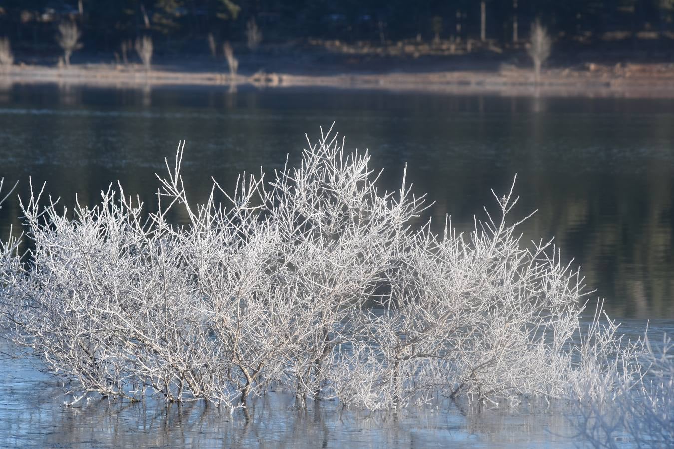 Fotos: El embalse de Aguilar de Campoo amanece congelado