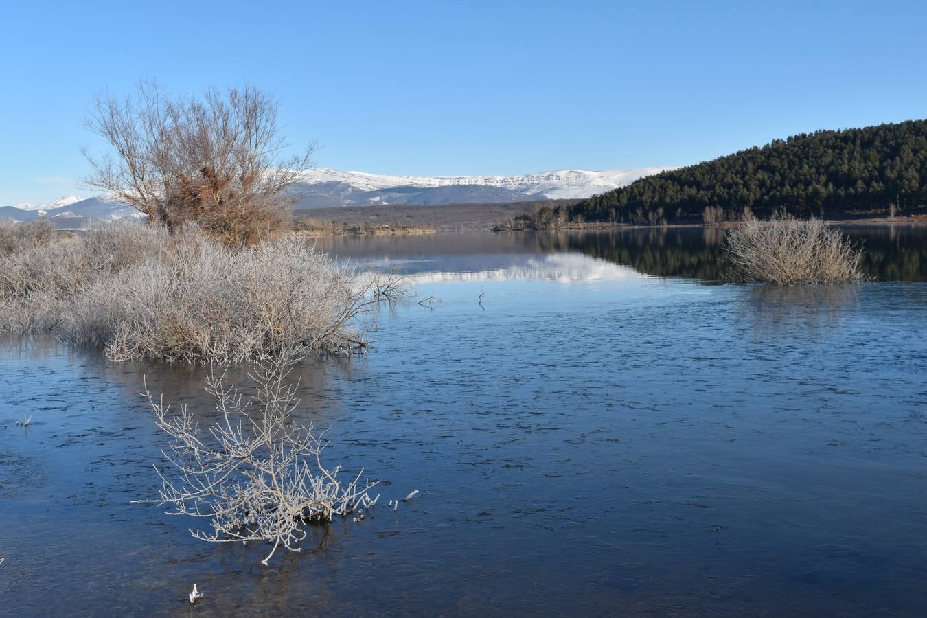 Fotos: El embalse de Aguilar de Campoo amanece congelado