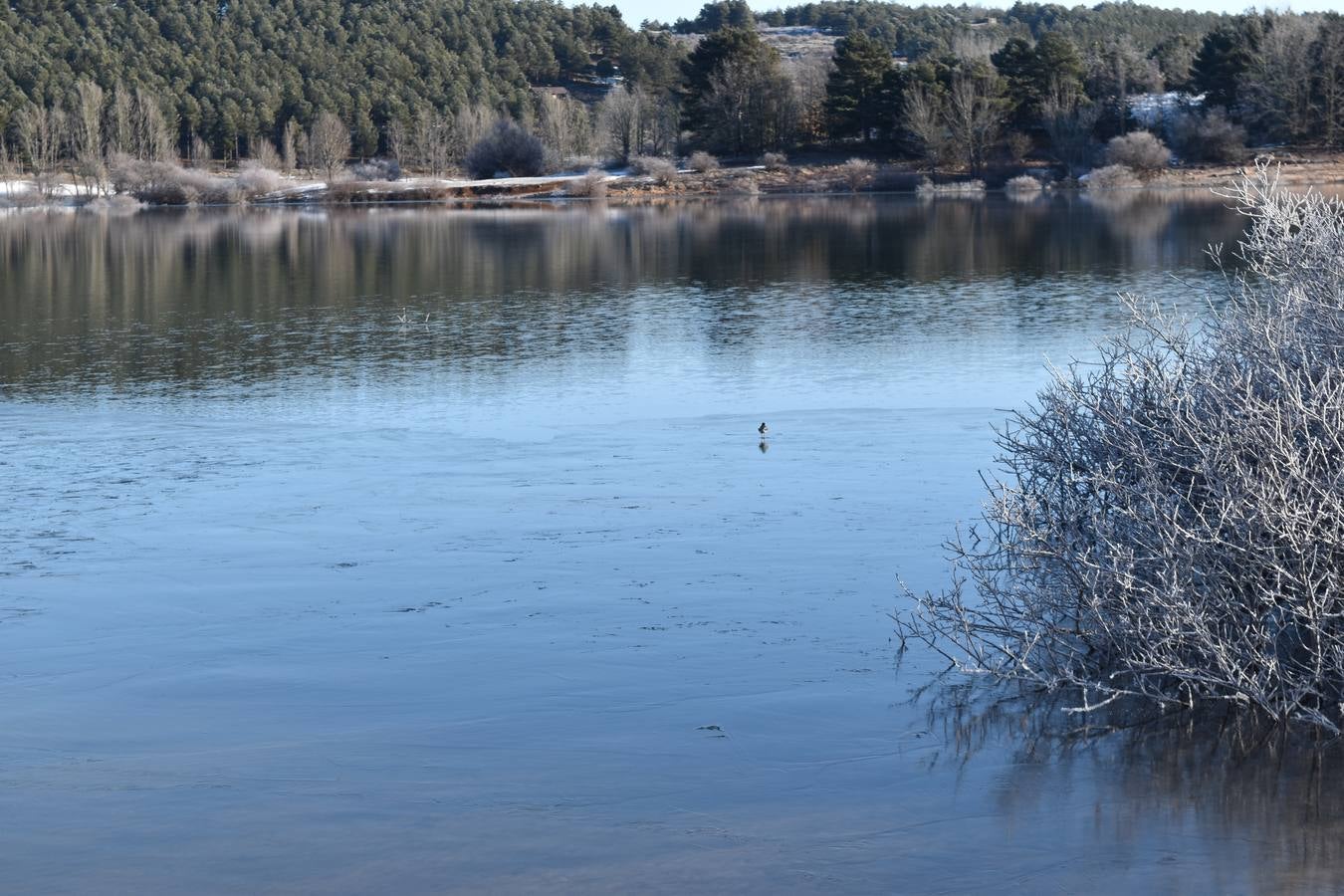 Fotos: El embalse de Aguilar de Campoo amanece congelado