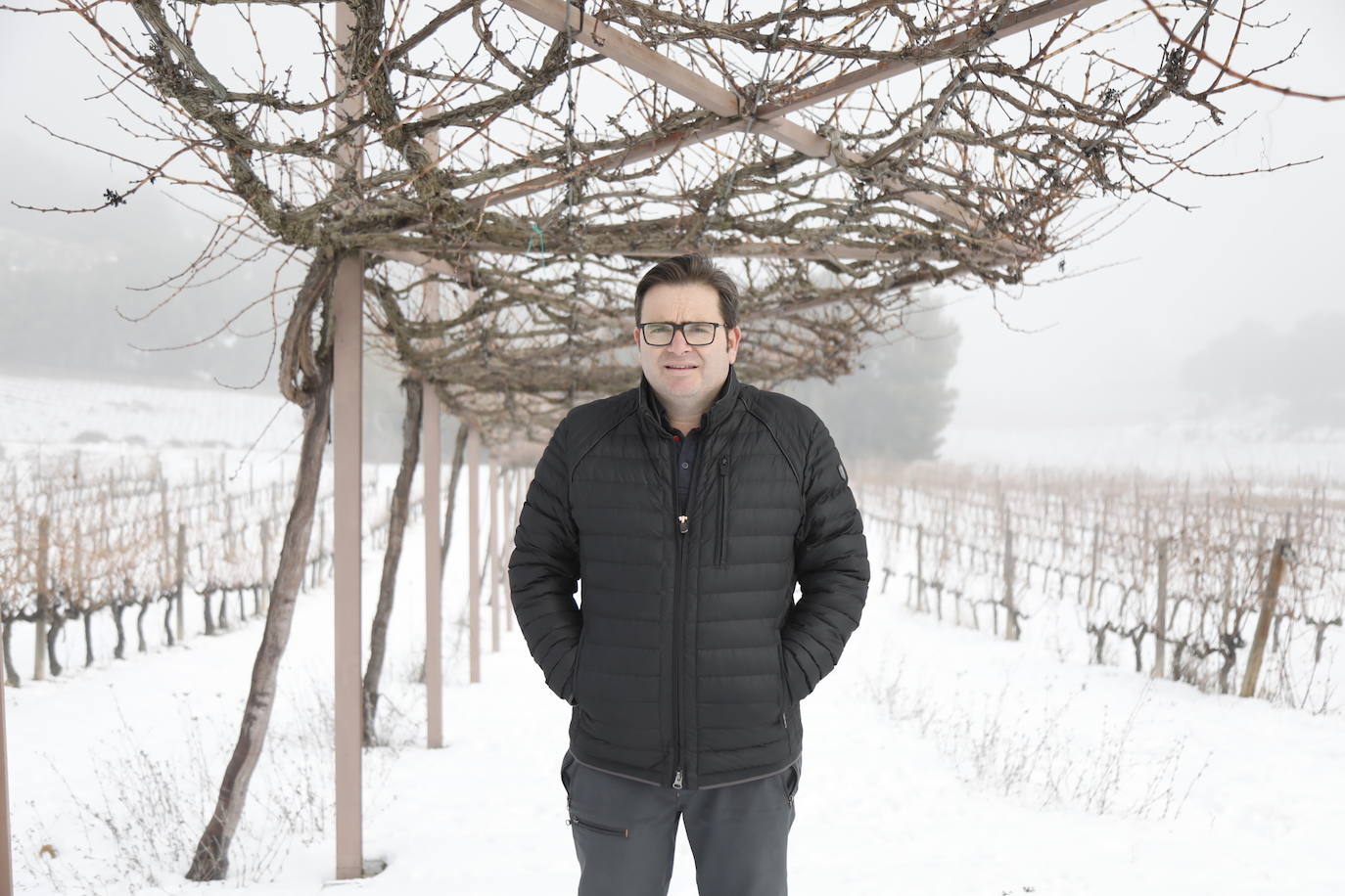 Imagen - «Las precipitaciones que han caído en la viña favorecerán el buen desarrollo de la vid»