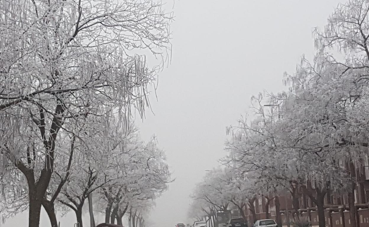 Valladolid vuelve a amenecer cubierto de niebla.