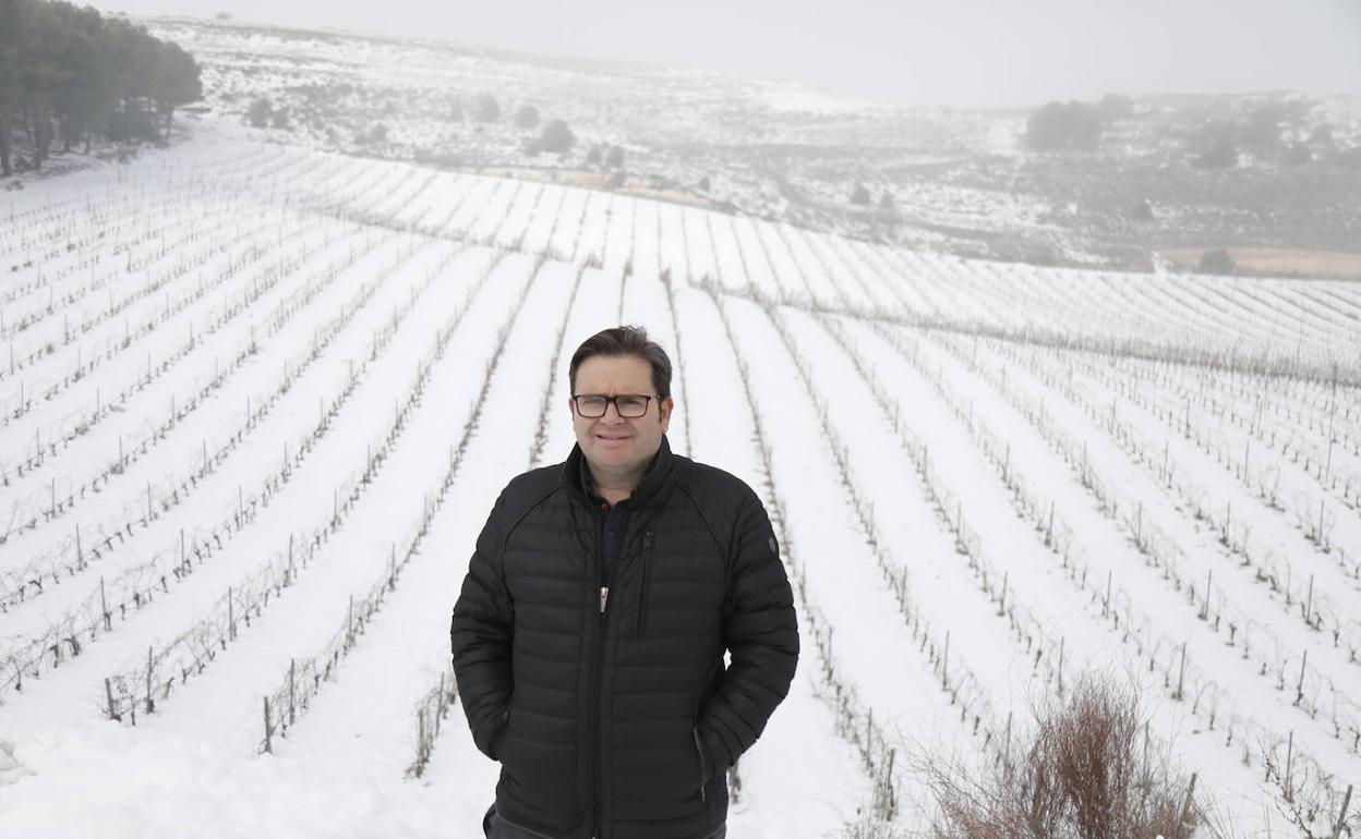 El enólogo Jorge Peique posa en un viñedo cubierto por un espeso manto de nieve. 