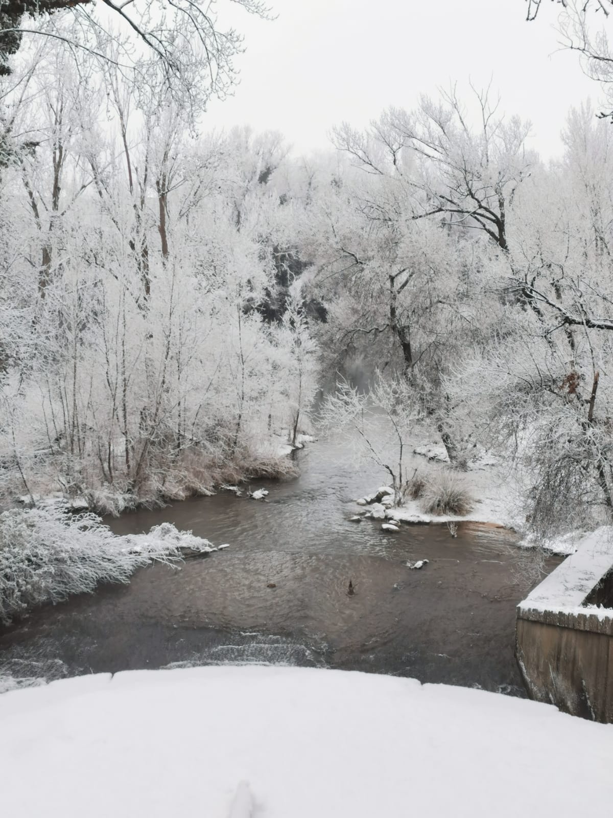 El Parque Ribera de Castilla de Valladolid amanece cubierto de nieve