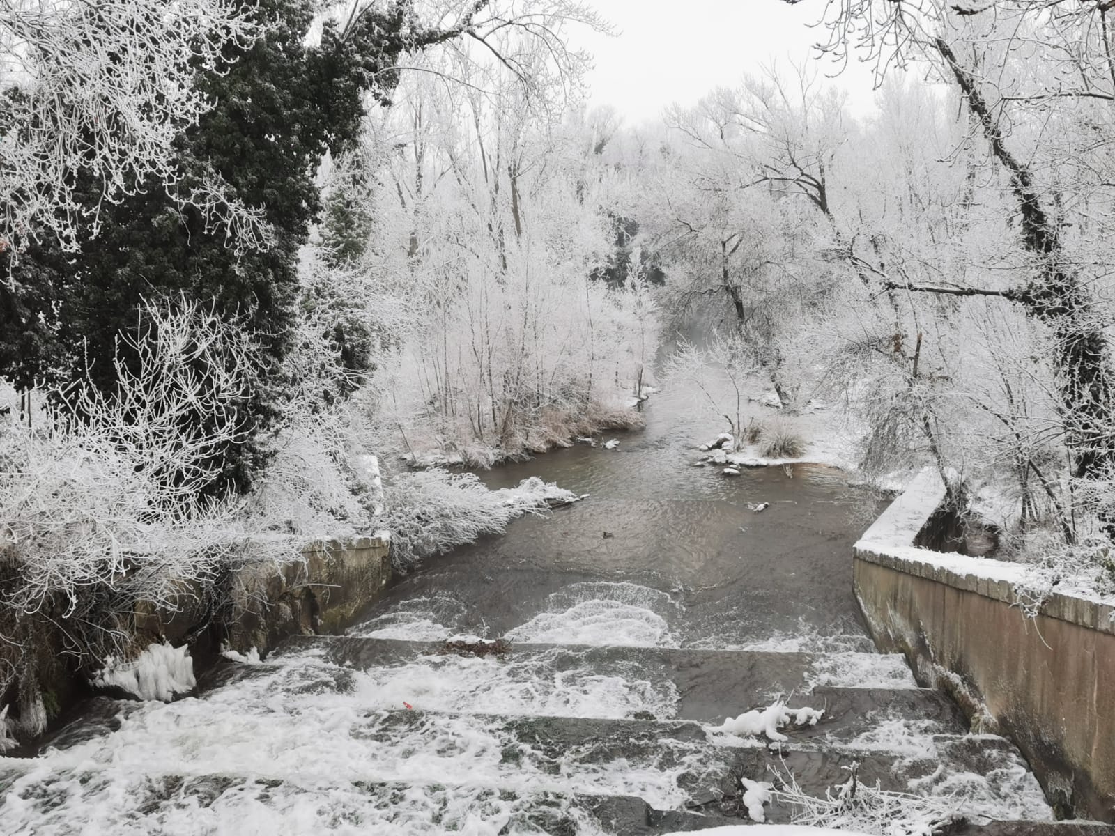 El Parque Ribera de Castilla de Valladolid amanece cubierto de nieve