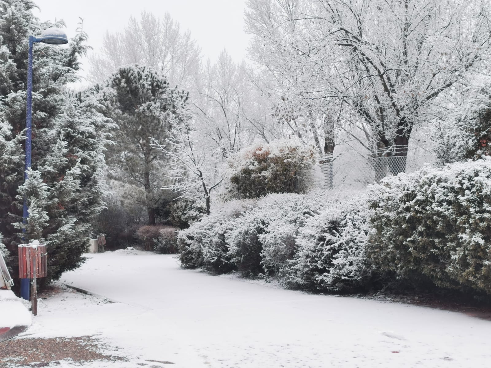 El Parque Ribera de Castilla de Valladolid amanece cubierto de nieve