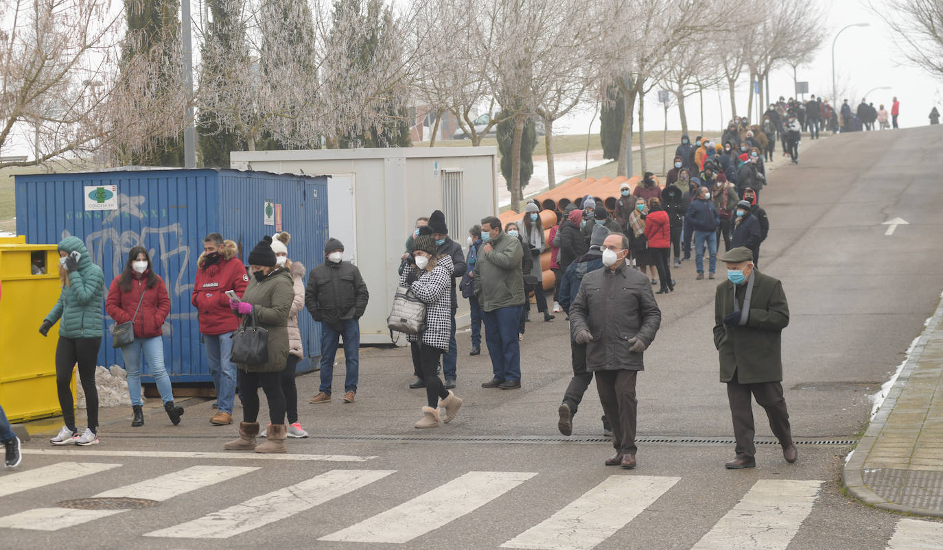 Fotos: Largas colas en Tordesillas tras el llamamiento a que los ciudadanos se sometan a un cribado masivo
