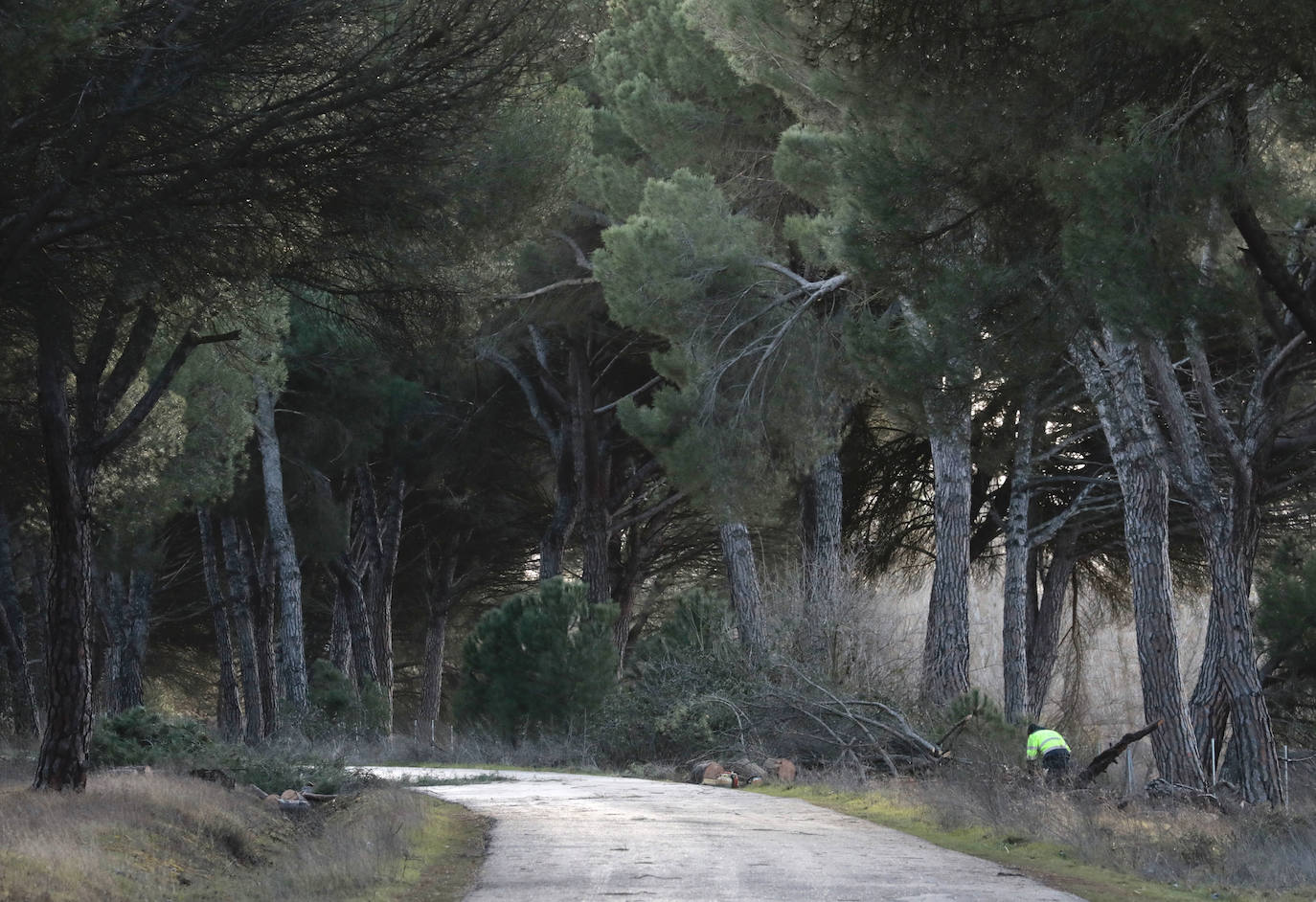 Carretera de Puente Duero a Simancas, a la altura del Bohío.