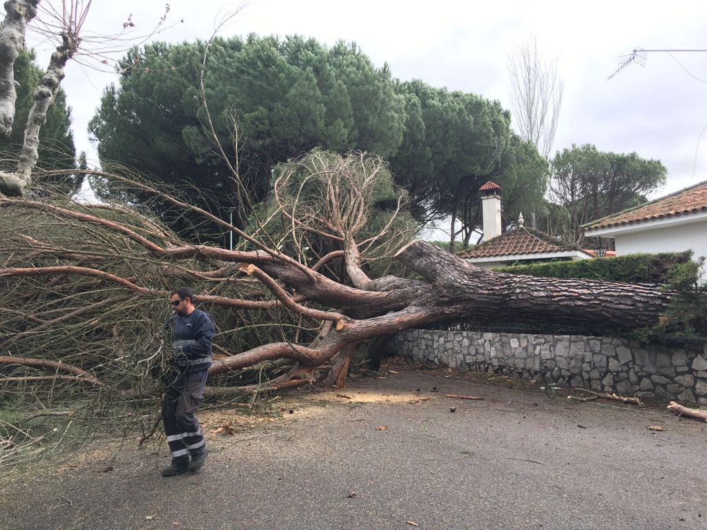 La Corala.