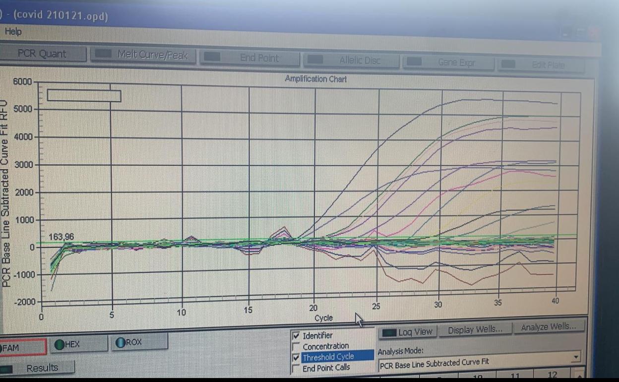 Gráficas de pruebas PCR con la carga viral disparada por la nueva cepa del coronavirus SARS-COV2.