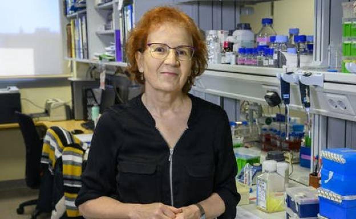 Coronavirus: Margarita del Val asegura que la inmunidad de las vacunas «pueden durar bastantes años»