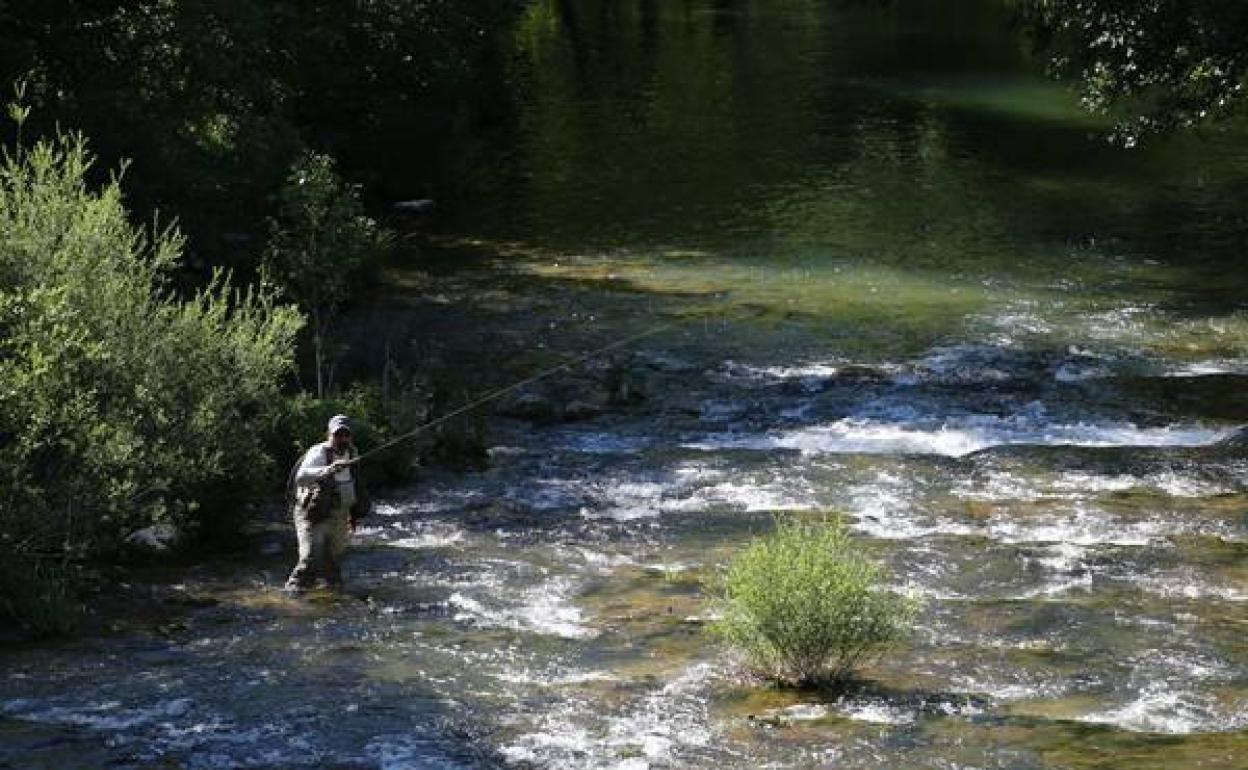 Un pescador en el río Rudrón de Valdetejada (Burgos).
