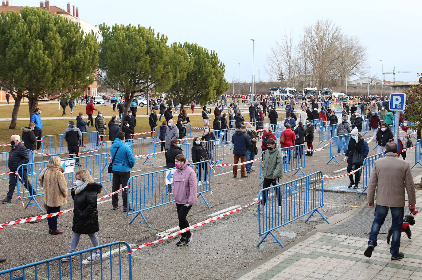 Largas colas durante la primera jornada de test de antígenos en Palencia. 