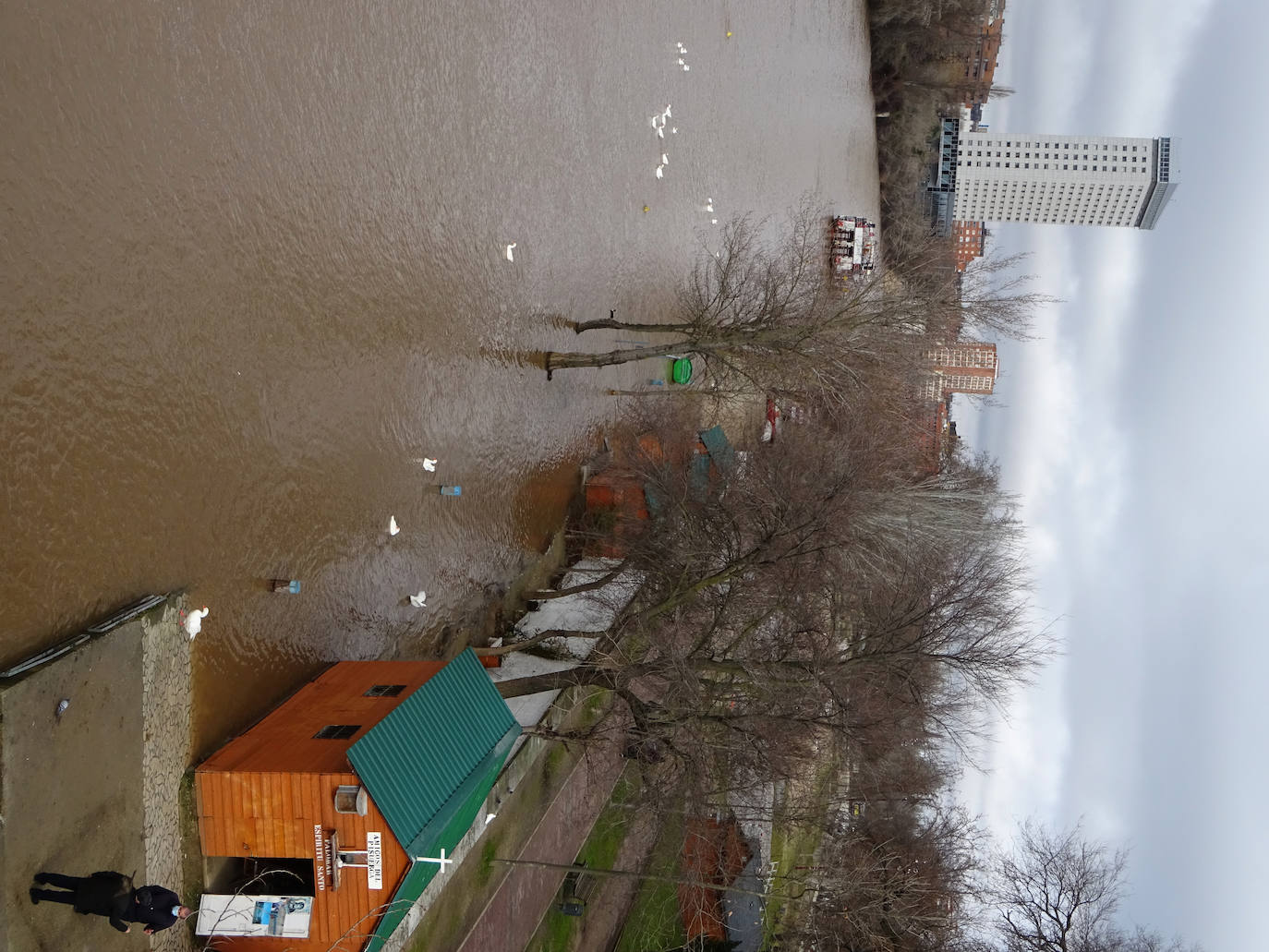 Fotos: Crecida del río Pisuerga en Valladolid y la provincia