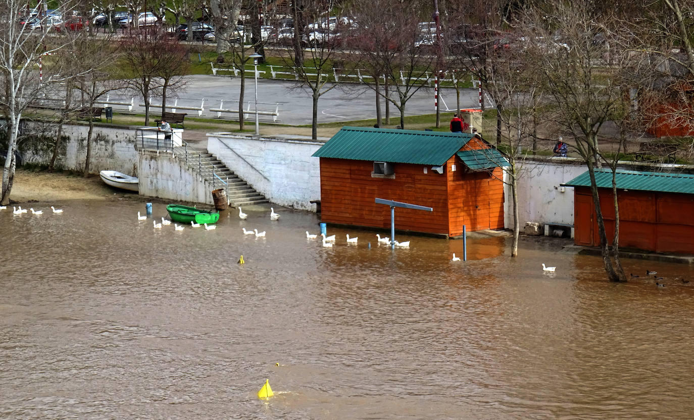 Fotos: Crecida del río Pisuerga en Valladolid y la provincia