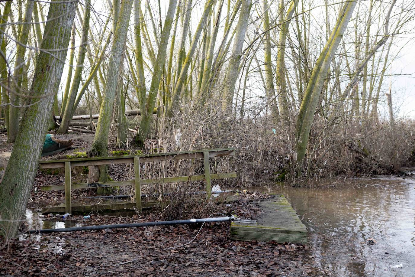 Fotos: Crecida del río Pisuerga en Valladolid y la provincia