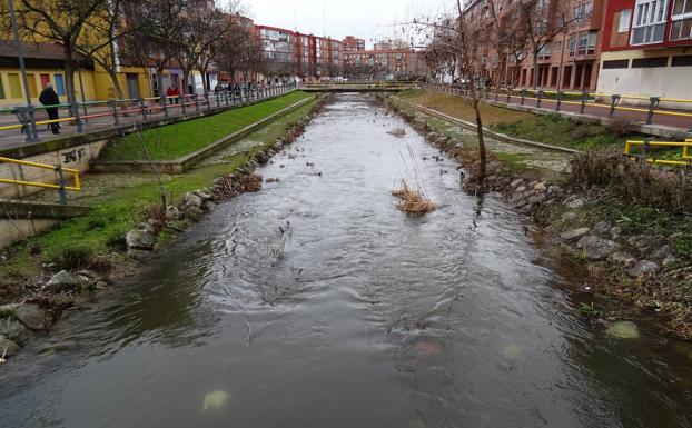 El Esgueva, a su paso por Pajarillos y Pilarica.